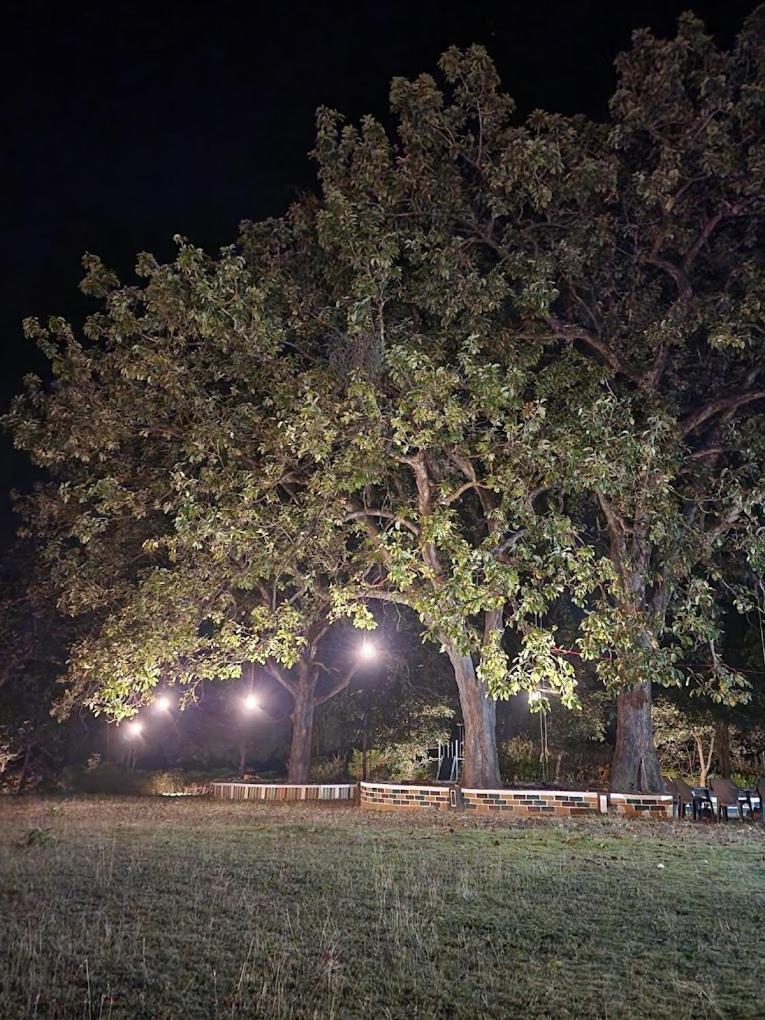 Pench Tiger Trails Resort Khawāsa Eksteriør billede
